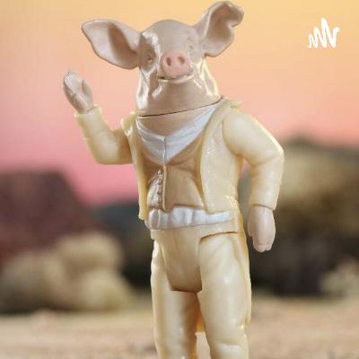 The Twitter account @Concert_People