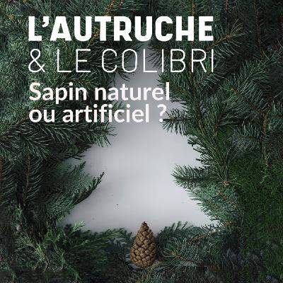 56. Noël écologique : sapin naturel ou artificiel ?