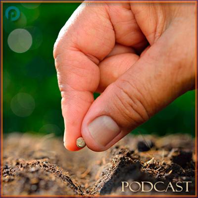 Lectio Divina del 19 Luglio 2020 a cura di don Domenico Luciani