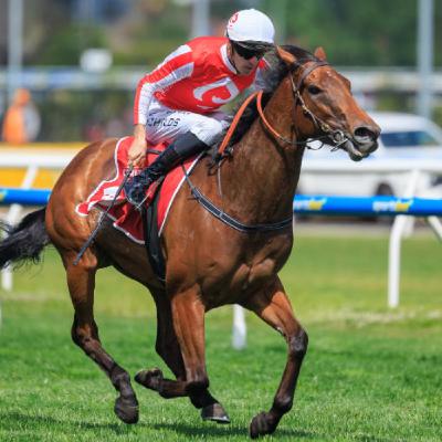 Episode 115 - QLD Derby, Kingsford-Smith & BRC Sires Produce Day
