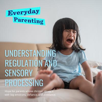 Understanding Regulation and Sensory Processing