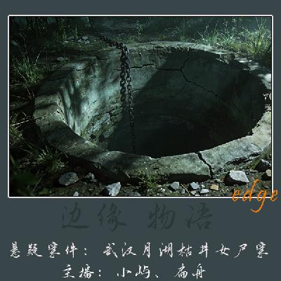 61.不可能的凶手:武汉月湖枯井女尸案 61.不可能的凶手:武汉月湖枯井女尸案