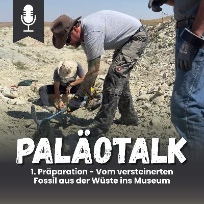 1. Präparation - Vom versteinerten Fossil aus der Wüste ins Museum 1. Präparation - Vom versteinerten Fossil aus der Wüste ins Museum