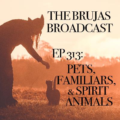 313. Pets, Familiars, and Spirit Animals 313. Pets, Familiars, and Spirit Animals
