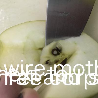 Fat and Sad Next to Three Corpses