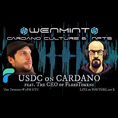 What Will USDC Mean For Cardano feat the CEO of Fluid Tokens What Will USDC Mean For Cardano feat the CEO of Fluid Tokens
