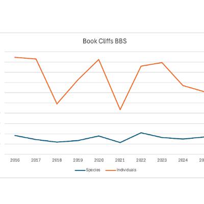 Episode 184 10 Years Of Book Cliffs BBS