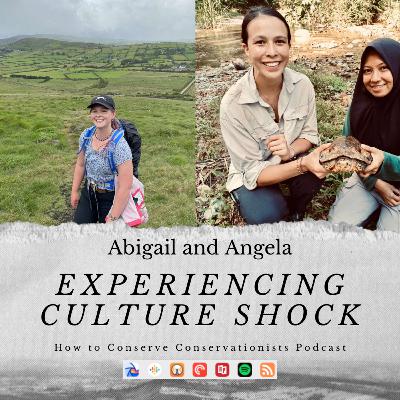 Experiencing culture shock in conservation Experiencing culture shock in conservation