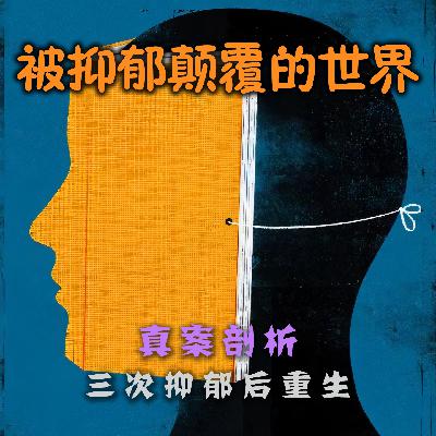 VOL.13「被情绪颠覆的世界！」三次抑郁后重生·真案剖析NO.2