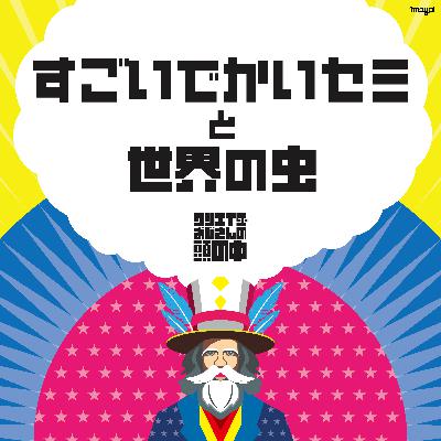 #62 すごいでかいセミと世界の虫