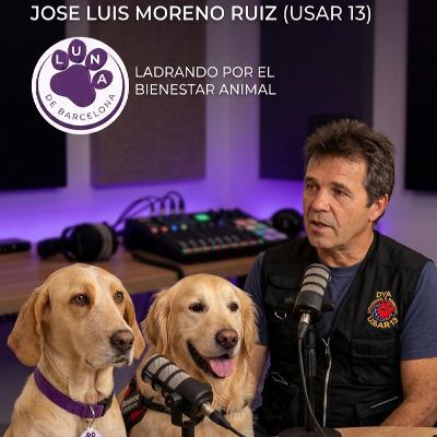 Emergencias y perros: prevención que salva vidas