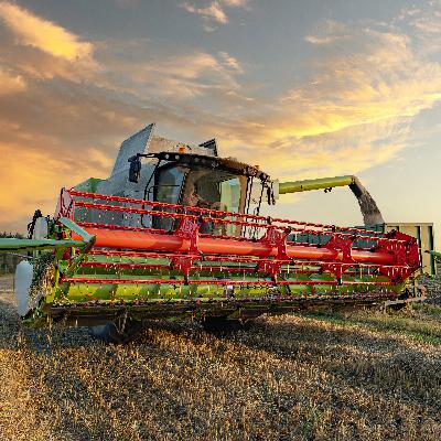 Bauern fürchten miese Ernten: Die deutsche Nahrungsmittelsouveränität schrumpft - ist das ein Problem?