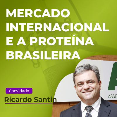 Mercado internacional: desafios e oportunidades para a proteína brasileira