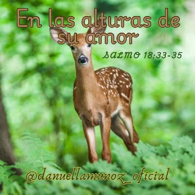 Ser sal y luz