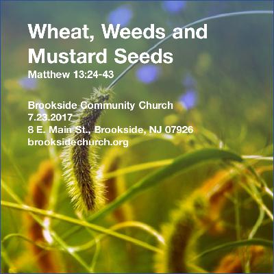 Wheat, Weeds and Mustard Seeds