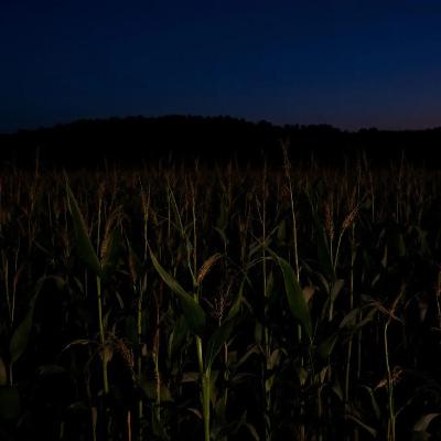 Horror Short Story: PREDICTING THE UNKNOWN Horror Short Story: PREDICTING THE UNKNOWN