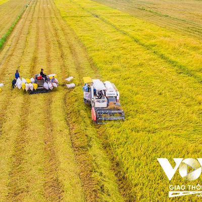 Chuyện hôm nay: Sao chưa “phủ sóng” bảo hiểm nông nghiệp?