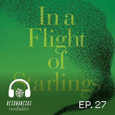 EP 27 - El caos ordenado.