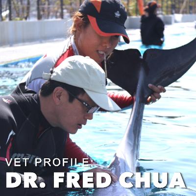 Vet Profile: Dr. Fred Chua, 'the fish vet' Vet Profile: Dr. Fred Chua, 'the fish vet'