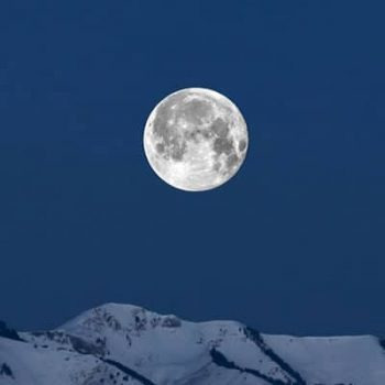 ماه عالم آرا