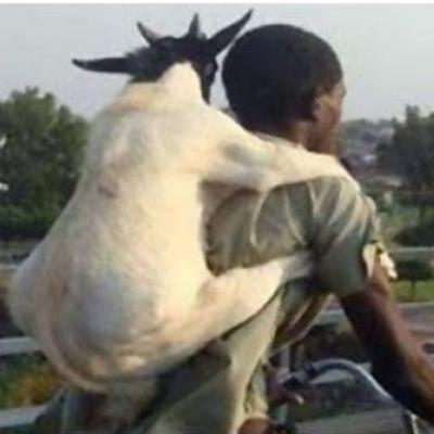 Antara korban, sate dan dorongan. Antara korban, sate dan dorongan.