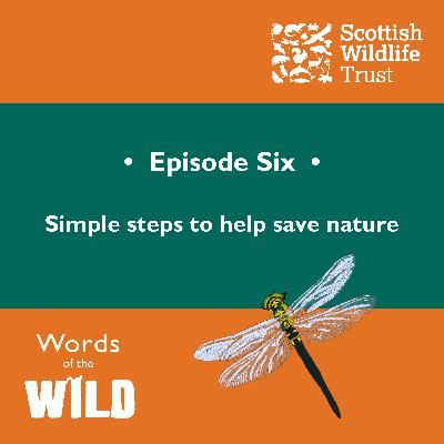 Simple steps to help save nature