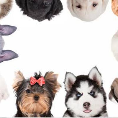 PodCast "Raza de perro" México vs China.