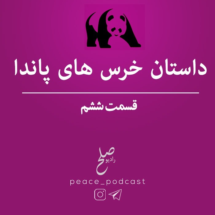 خرس های پاندا - اپیزود 6 - شب پنجم