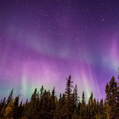 Luminous Sleep ~ Deep Sleep Music & Calming Crickets