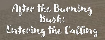 The Old Testament Gospel: After the Burning Bush The Old Testament Gospel: After the Burning Bush