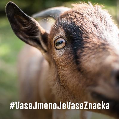 Pohádka o zabezpečených kůzlátkách aneb o HTTPS jinak