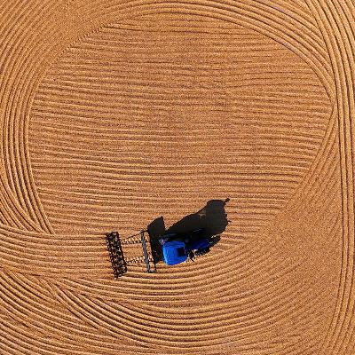 How can China build a resilient and low-carbon agrifood system? How can China build a resilient and low-carbon agrifood system?