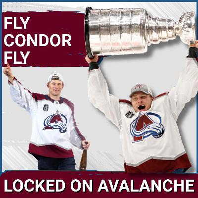 Erik Johnson Calls it a Career. Why He Was Such a Fan Favorite.