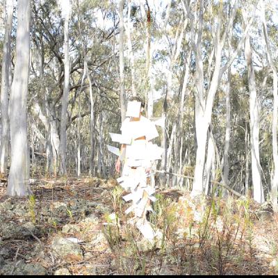 Isabella Capezio : About Queering the Landscape