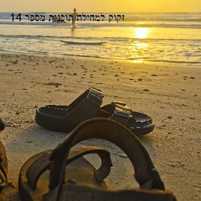זקוק למחילה תוכנית מספר 14