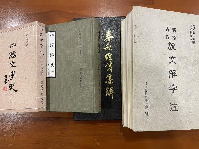 進退維谷_진퇴유곡, 騎虎難下_기호난하