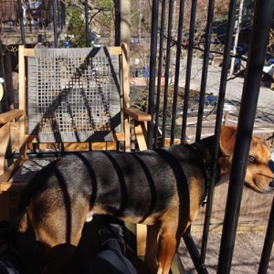 Brainwashed - Radio Edition #689