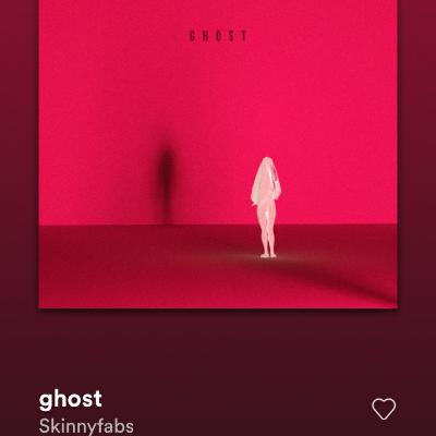 Skinnyfabs - Ghost (Cover)