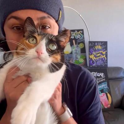 ✨🐾 La Loca de los Gatos – Nueva Temporada 🐾✨