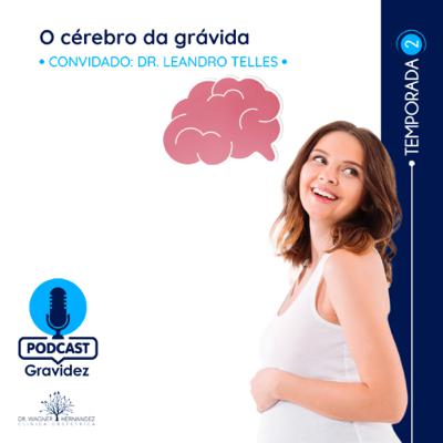 O Cérebro da Grávida