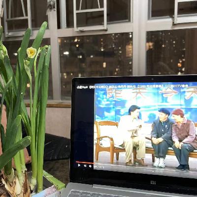 04. 过年咱就是既要吃饺子也得吃年糕，既要看赵本山还得逛花市