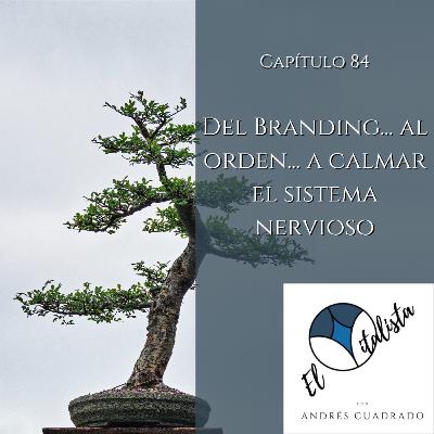 #84 Del Branding a Calmar el SNC
