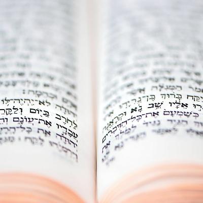 97 - RDaniel - NetivHaTorah - Our World And Words (14.2.23).MP3