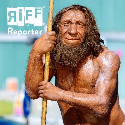 Wieso starben die Neandertaler aus und nicht wir, Henning Engeln? Wieso starben die Neandertaler aus und nicht wir, Henning Engeln?