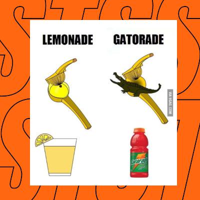 STS #022 - Gatorade, Casamento e Cruzeiro