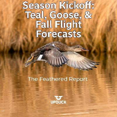 Season Kickoff: Teal, Goose, and Fall Flight Forecasts