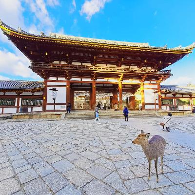 Nuestro quinto viaje a Japón Nuestro quinto viaje a Japón