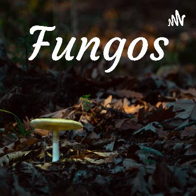 Fungos