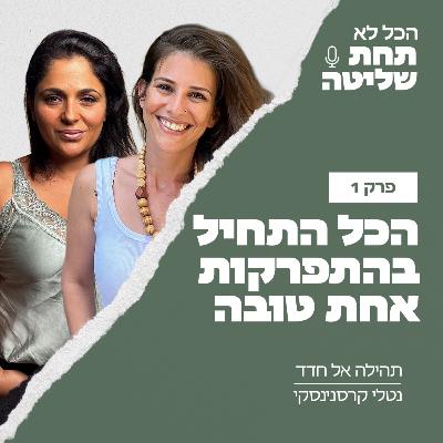 פרק 1 - הכל התחיל בהתפרקות אחת טובה