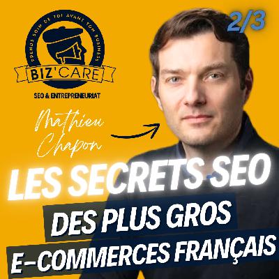Les secrets SEO des plus gros e-commerce français - Mathieu Chapon - Formation SEO gratuite 2/3